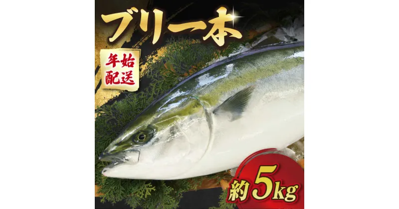 【ふるさと納税】【3/7 申込締切！】【1/11～3/16の土日にお届け！】【着日指定必須】五島列島産 ブリ 一本（5kg程度） 国産 期間限定 鰤 ぶり 鰤 ぶりしゃぶ 刺身 鮮魚 海鮮 海産物 魚 五島 五島列島 しゃぶしゃぶ 国産 新鮮 養殖 鍋 海鮮鍋 【徳丸】[RAC022]