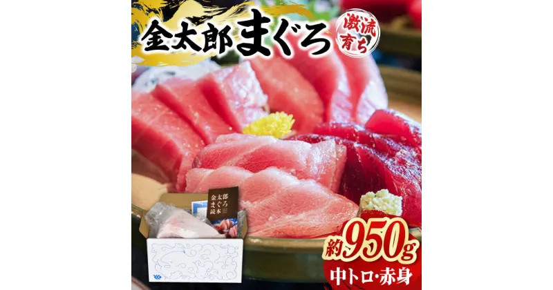 【ふるさと納税】【激流育ち！】金太郎 マグロ 冷凍 ブロック 中トロ 赤身 約950g【徳丸】[RAC027]