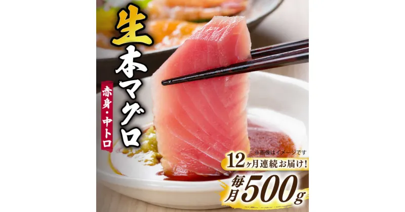 【ふるさと納税】【全12回定期便】【ながさき水産業大賞受賞の新鮮なマグロを冷蔵でお届け！！】五島列島産 養殖 生本かみまぐろ 赤身 中トロ 計約500g【カミティバリュー】 [RBP031]