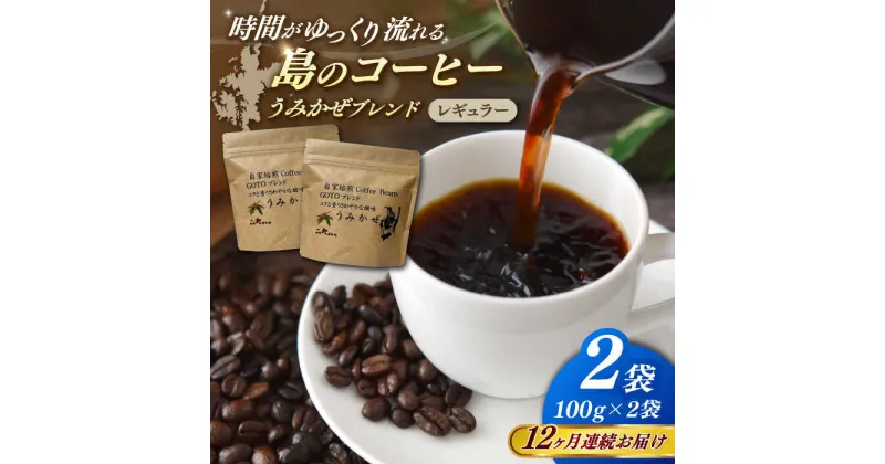 【ふるさと納税】【全12回定期便】Fuuki Coffee　Roaster　Coffee　Beans うみかぜブレンド2パック【冨喜】[RBO025]