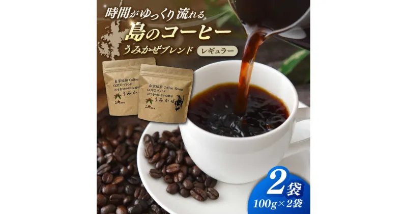 【ふるさと納税】Fuuki Coffee Roaster うみかぜブレンド2パック【冨喜】[RBO028]