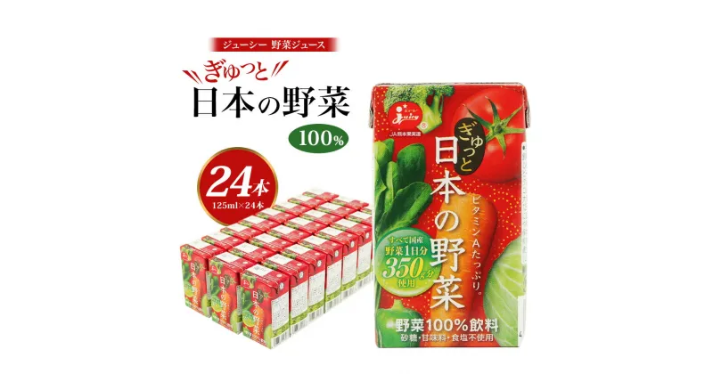 【ふるさと納税】野菜飲料初！ジャパンフードセレクション グランプリ受賞 ジューシー 野菜ジュース ぎゅっと日本の野菜100％ 125ml×24本 合計3L 3000ml 1日分の野菜 にんじん トマト ほうれん草 ピーマン あしたば キャベツ クレソン 紙パック 国産 九州 熊本県 送料無料