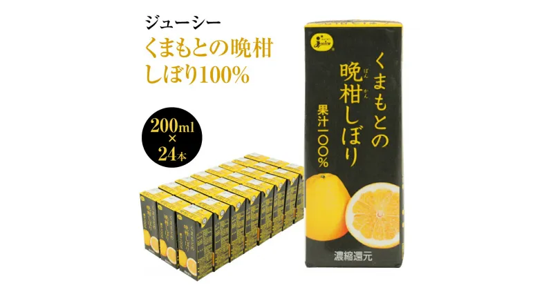 【ふるさと納税】 ジューシー くまもとの晩柑しぼり100％ 200ml×24本 合計4,800ml 4.8L 河内晩柑 晩柑ジュース 柑橘類 紙パック 国産 九州 熊本県 送料無料