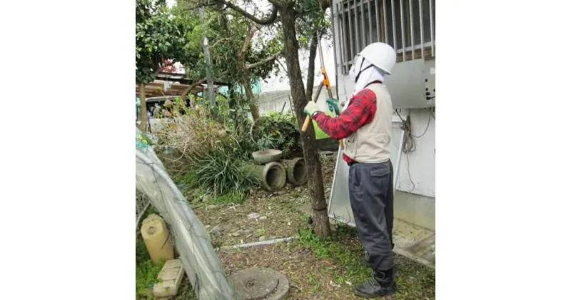 【ふるさと納税】 家事代行チケット 草刈り剪定 窓拭き 車の清掃 3000円分 家事代行サービス チケット 草刈り 除草 車 清掃 手洗い ワックス掛け 車内清掃 送料無料