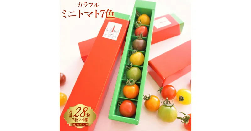 【ふるさと納税】 7色カラフルミニトマト4箱セット 野菜 ミニトマト プチトマト 完熟 ギフトボックス 化粧箱 新鮮 詰め合わせ サラダ スイーツ 生野菜 冷蔵 ギフト 贈り物 国産 熊本県 九州 有限会社アーティフル 送料無料