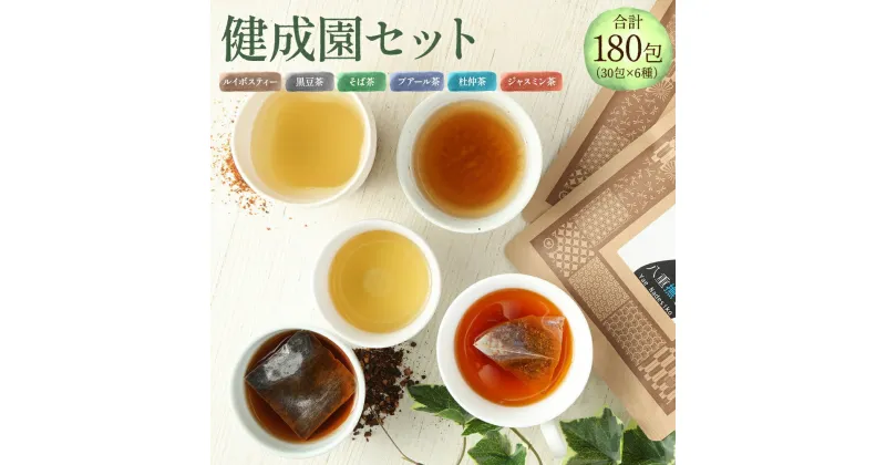 【ふるさと納税】 健成園セット（30包×6種/ルイボスティー 黒豆茶 そば茶 プアール茶 杜仲茶 ジャスミン茶）合計180包 30包入×6種 オーガニック 健康茶 ティーバッグ 送料無料