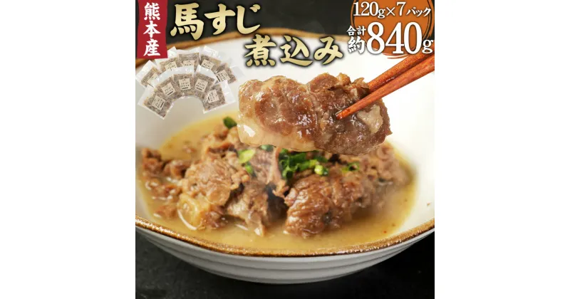 【ふるさと納税】 馬スジ煮込み 120g×7パック 合計840g 馬肉 馬スジ 煮込み 化学調味料一切不使用 馬すじ 熊本肥育 惣菜 おつまみ お取り寄せ フードマスター 冷凍 熊本県 国内肥育 送料無料 【2024年1月上旬より順次発送開始】