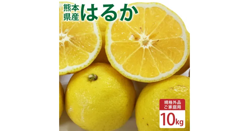 【ふるさと納税】 【規格外品】はるか ご家庭用 10kg サイズ不選別 サラダみかん 訳あり みかん フルーツ 果物 柑橘 熊本県産 九州産 送料無料 【2025年2月上旬～3月下旬発送予定】