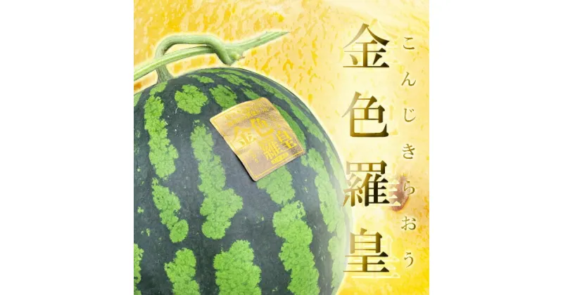 【ふるさと納税】 熊本産 金色羅皇 1玉 スイカ すいか 7kg 以上 西瓜 果物 フルーツ 九州 ギフト 贈答 送料無料 【2025年5月下旬～6月下旬発送予定】