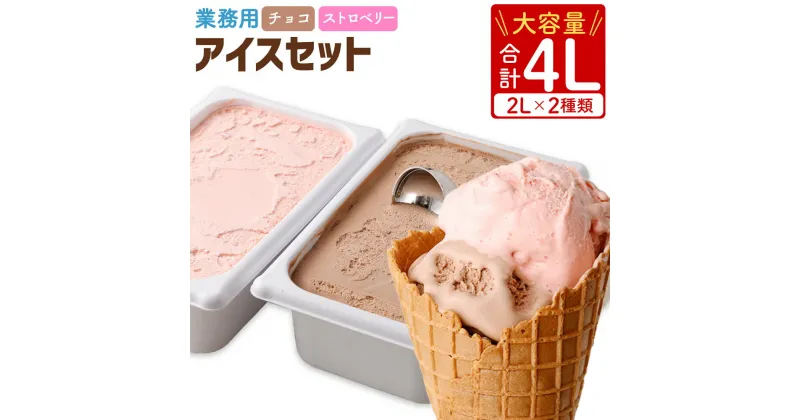 【ふるさと納税】 業務用 2Lアイス セット 合計4L 2L×2種類 チョコ ストロベリー大容量 アイス アイスクリーム アイスミルク セットチョコアイス ストロベリーアイス イチゴアイス スイーツ おやつ 乳製品 熊本県製造 九州産 国産 冷凍 送料無料