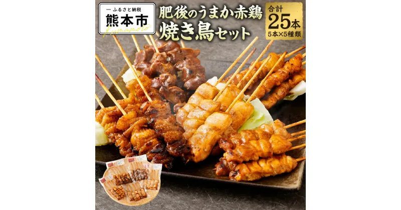 【ふるさと納税】 熊本産肥後のうまか赤鶏 焼き鳥セット 5種 盛り合わせ 計25本 モモ ムネ 皮 ぼんじり 砂ずり 国産 九州産 熊本県産 赤鶏 炭火焼鳥 やきとり 焼鳥 冷凍 送料無料