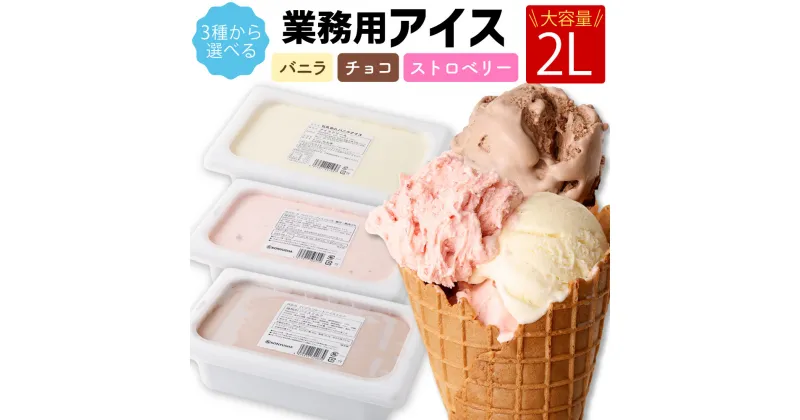 【ふるさと納税】＜選べる＞ 2L 業務用 アイス バニラ チョコレート ストロベリー 2000ml アイス アイスクリーム アイスミルク バニラアイス チョコアイス イチゴアイス スイーツ おやつ 乳製品 熊本県 冷凍 送料無料