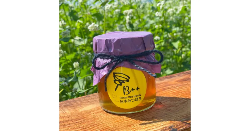 【ふるさと納税】熊本県産 日本みつばちの蜂蜜 約250g はちみつ ハチミツ 蜂蜜 純粋蜂蜜 国産 送料無料