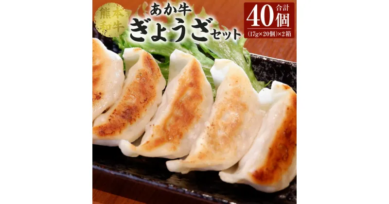 【ふるさと納税】 熊本 和牛 あか牛 ぎょうざ セット 20個入り×2箱 合計40個 餃子 生餃子 惣菜 おかず 中華 点心 焼くだけ 赤牛 熊本県産 国産 冷凍 送料無料