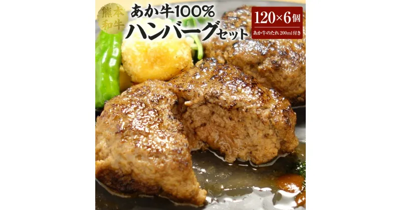 【ふるさと納税】 あか牛 100％ ハンバーグ セット （あか牛ハンバーグ120g×6個、あか牛のたれ200ml付き） 合計720g おかず 惣菜 洋食惣菜 洋風 たれ たれ付き 肉 お肉 牛 牛肉 赤牛 和牛 個包装 焼くだけ 熊本県産 国産 冷凍 送料無料