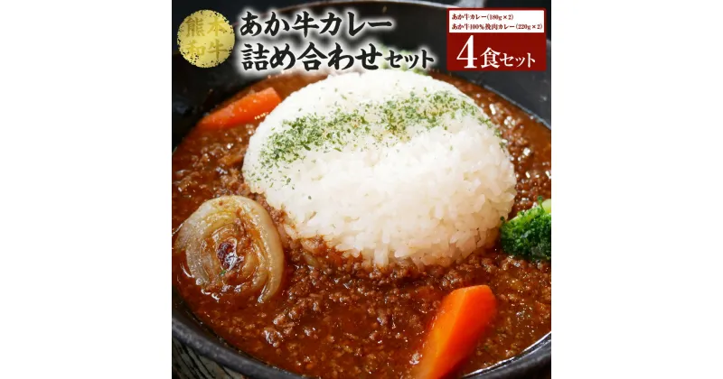 【ふるさと納税】 あか牛 カレー 詰め合わせ セット （あか牛カレー180g×2個、あか牛100％挽肉カレー220g×2個） 2種 合計4個 800g 詰合せ カレーライス ルー ルゥ レトルト おかず 惣菜 洋食惣菜 洋風 赤牛 和牛 熊本県産 国産 冷凍 送料無料