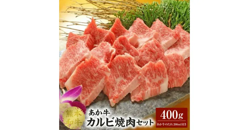 【ふるさと納税】 あか牛 カルビ焼き肉 セット（あか牛バラカルビ400g、あか牛のたれ200ml付き）合計400g たれ たれ付き 肉 お肉 牛 牛肉 カルビ バラカルビ やきにく 焼肉 あかうし 赤牛 和牛 熊本県産 国産 冷凍 送料無料