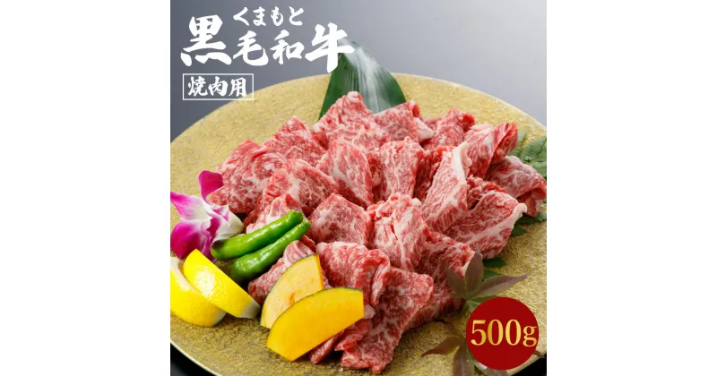 【ふるさと納税】 くまもと 黒毛和牛 焼肉用 500g 1パック モモ ウデ等 牛肉 肉 お肉 にく 和牛 やきにく 焼肉 カット 熊本県産 国産 冷凍 送料無料