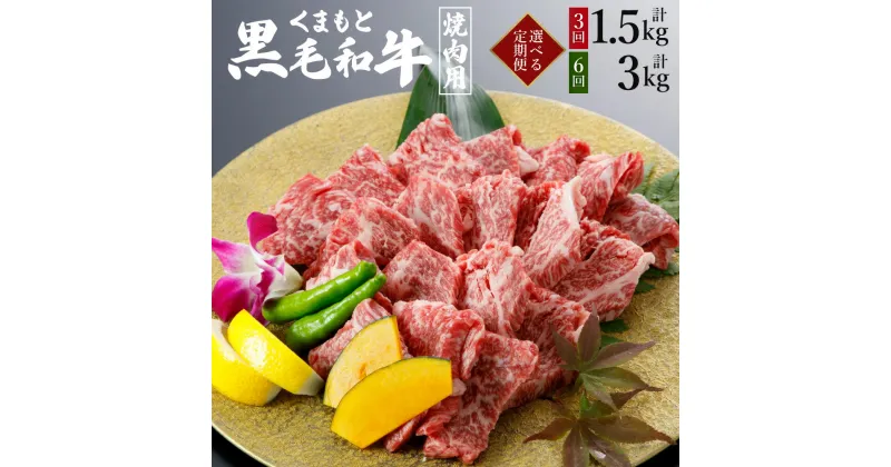 【ふるさと納税】 ＜選べる定期便＞ くまもと 黒毛和牛 焼肉用 500g 1パック 3ヶ月 6ヶ月 モモ ウデ等 牛肉 肉 お肉 にく 和牛 焼き肉 やきにく カット 熊本県産 国産 冷凍 送料無料