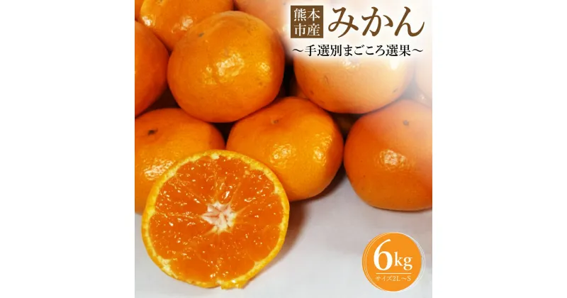 【ふるさと納税】 熊本市産 みかん 【手選別まごころ選果】6kg サイズ2L～S 蜜柑 ミカン フルーツ 果物 柑橘 熊本産 九州産 送料無料 【2024年10月下旬～2025年2月下旬発送予定】