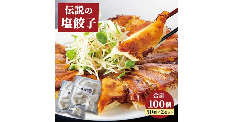 【ふるさと納税】 伝説の塩ぎょうざ 100個（50個700g×2セット） 餃子 ギョウザ おかず 惣菜 鶏肉 豚肉 ニンニク ニラ ひとくち 熊本県 中華 おつまみ 国産 九州 冷凍 送料無料