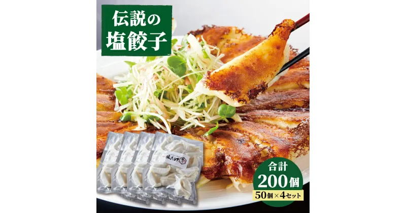 【ふるさと納税】 伝説の塩ぎょうざ 200個（50個700g×4セット） 餃子 ギョウザ おかず 惣菜 鶏肉 豚肉 ニンニク ニラ ひとくち 熊本県 中華 おつまみ 国産 九州 冷凍 送料無料