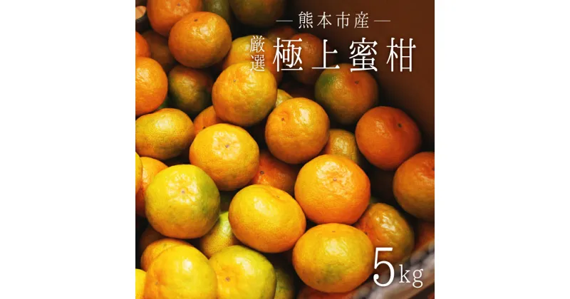 【ふるさと納税】 熊本市産 厳選 極上蜜柑 5kg みかん 蜜柑 ミカン 柑橘 フルーツ 果物 くだもの 果実 熊本市 熊本県 送料無料 【2024年9月上旬～2025年1月下旬発送予定】