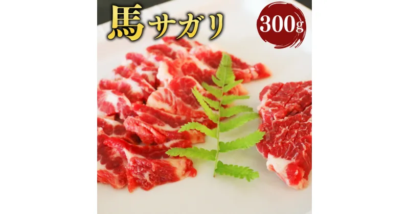 【ふるさと納税】 馬サガリ 300g 馬肉 馬刺 肉 お肉 馬 サガリ ブロック 熊本県 熊本市 冷凍 送料無料