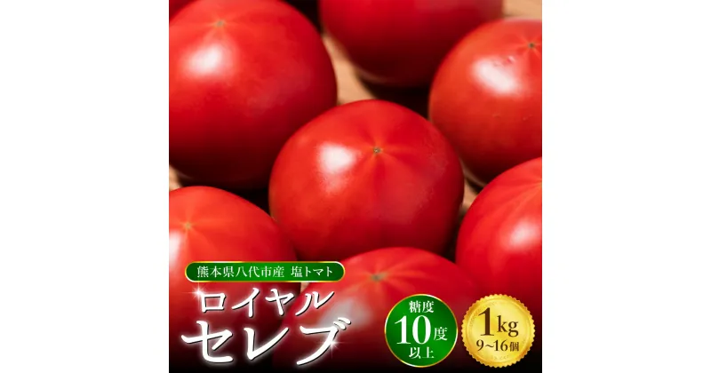 【ふるさと納税】【先行予約】 くまもと塩トマト「ロイヤルセレブ」 トマト 1kg （9個～16個） 糖度10度以上 厳選 希少 はちべえ 【2025年1月上旬より順次発送】トマト 塩トマト 塩とまと とまと トマト 野菜 熊本県産 八代市産 九州産 国産 贈答用 ギフト 送料無料