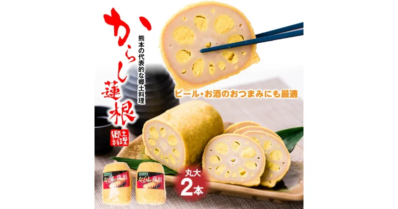 【ふるさと納税】からし蓮根 丸大 2本入り 合計500g 250g×2本 おつまみ 惣菜 九州 冷蔵 熊本名物 辛子 れんこん 蓮根 レンコン 熊本県 八代市 ご当地 郷土料理 送料無料