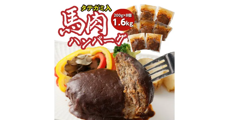 【ふるさと納税】タテガミ入り 馬肉ハンバーグ 8個セット 合計約1.6kg 200g×8個 デミグラスソース ハンバーグ 馬肉 惣菜 おかず 馬肉 タテガミ 真空パック 冷凍 送料無料