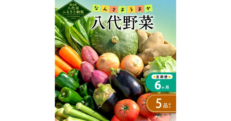 【ふるさと納税】【定期便6回】なんさまうまか 八代野菜セット 5品以上 野菜 やさい 詰め合わせ 旬の野菜 新鮮 朝採れ 八代よかとこ物産館 国産 九州産 熊本県産 送料無料