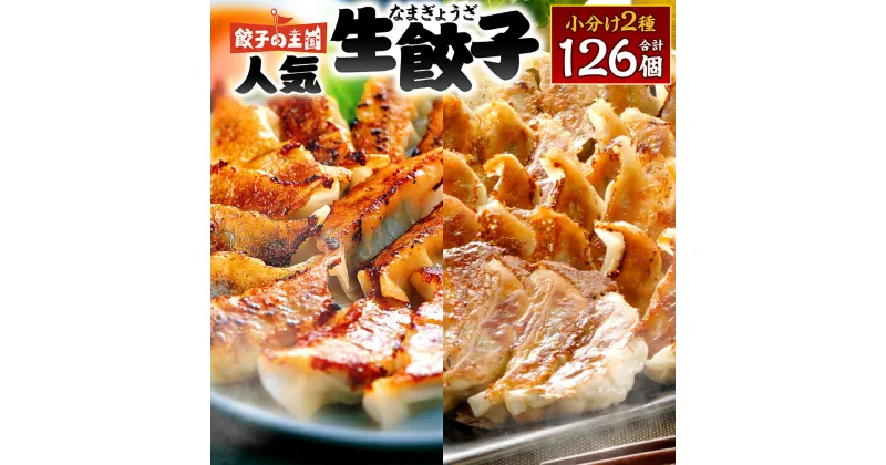 【ふるさと納税】 餃子の王国 人気 生餃子 126個 2種類 黒豚生餃子30個/工場直売生餃子96個 餃子 セット 食べ比べ 詰合せ ギョウザ ぎょうざ 中華 ショウガ おかず 惣菜 国産 八代市東陽町の生姜を使用 熊本県 九州 冷凍 送料無料