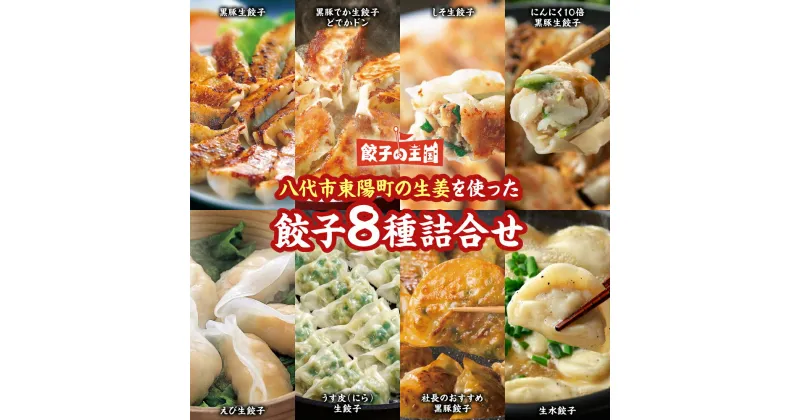 【ふるさと納税】餃子の王国 餃子 食べ比べ 8種117個 詰合せ 黒豚生餃子 しそ生餃子 にんにく10倍黒豚生餃子 えび生餃子 うす皮(にら)生餃子 黒豚餃子 生水餃子(スープ付) 餃子のたれ 八代市東陽町の生姜 熊本県 八代市 冷凍 国産 送料無料