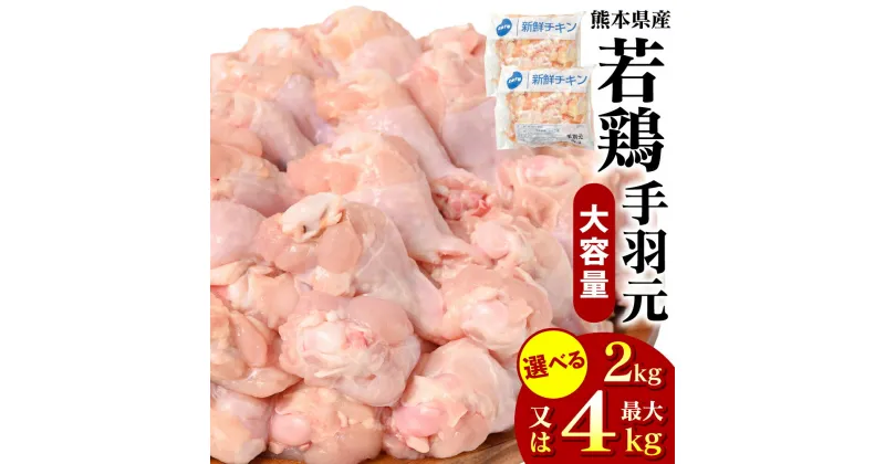 【ふるさと納税】 【選べる内容量】 熊本県産 若鶏の手羽元 2kg 4kg 若鶏 鶏肉 手羽先 手羽 国産 九州産 冷凍 送料無料