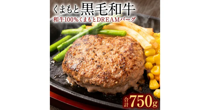 【ふるさと納税】くまもと黒毛和牛 和牛100％ ハンバーグ くまもとDREAMバーグ 150g×5 合計750g 黒毛和牛 牛肉100% 九州産 国産 熊本県産 手作り 牛肉 お肉 焼くだけ 簡単調理 惣菜 おかず お取り寄せ グルメ 冷凍 送料無料