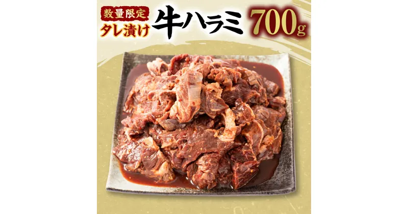 【ふるさと納税】【数量限定】タレ漬け 牛ハラミ 700g 牛肉 お肉 醤油ベース 味付き 焼肉 BBQ バーベキュー 焼き肉 焼くだけ 簡単調理 ハラミ たれ漬け お肉 惣菜 おかず お取り寄せ グルメ 冷凍 アメリカ産 海外産 送料無料