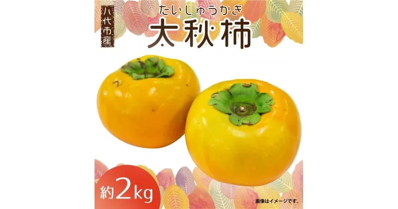 【ふるさと納税】 太秋柿 約2kg 柿 かき 送料無料