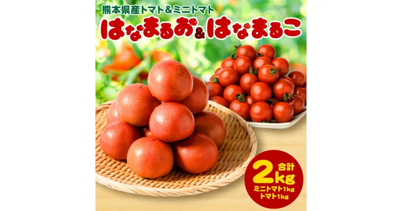 【ふるさと納税】 熊本県産 トマト 1kg ＆ ミニトマト 1kg 合計2kg はなまるお はなまるこ とまと 野菜 産地直送 八代市産 プチトマト 新鮮 青果物 農産物 サラダ 八代市産 九州 箱入り 特産品 まとめ買い 送料無料