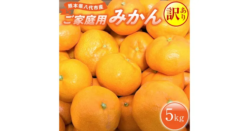 【ふるさと納税】【訳あり】熊本県八代市産 ご家庭用みかん5kg 蜜柑 柑橘 ミカン フルーツ デザート 送料無料