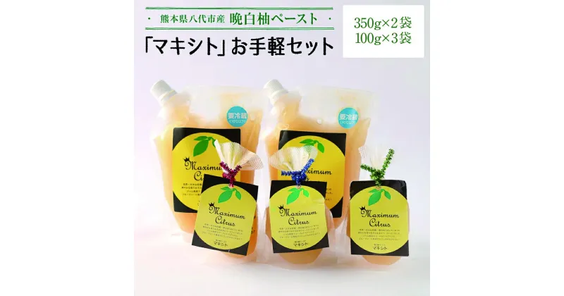 【ふるさと納税】熊本県 八代市産 晩白柚 ペースト マキシト お手軽 セット 計1000g 柑橘 果物 フルーツ 国産 熊本県産 八代市産 送料無料