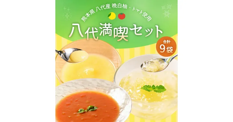 【ふるさと納税】熊本県 八代市産 晩白柚 ペースト マキシト & 晩白柚 ゼリー マキシトゼリー & トマトピューレ リコプレン 八代満喫セット 合計9袋 合計3,000g 柑橘 果物 フルーツ フルーツゼリー 野菜ペースト 洋菓子 お菓子 スイーツ 国産 熊本県産 送料無料 送料無料