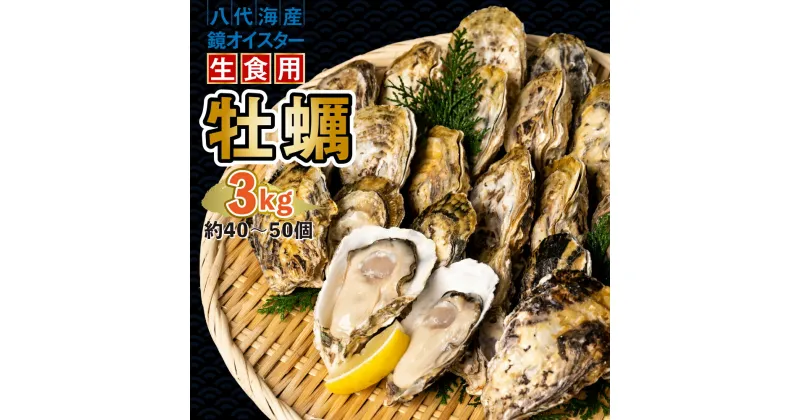 【ふるさと納税】【先行予約】牡蠣 鏡オイスター 生食用 3kg 生かき 新鮮 送料無料【2024年12月中旬より順次発送】