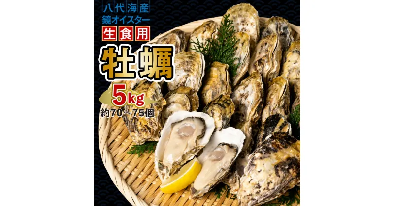 【ふるさと納税】【先行予約】 牡蠣 鏡オイスター 生食用 5kg 生かき 新鮮 送料無料【2024年12月中旬より順次発送】