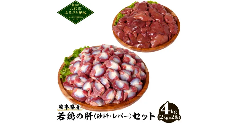 【ふるさと納税】 熊本県産 若鶏の肝 セット 砂肝 レバー 合計4kg 2kg×2袋 各1袋 若鶏 鶏肉 鳥肉 レバー 砂肝 お肉 国産 九州産 冷凍 送料無料