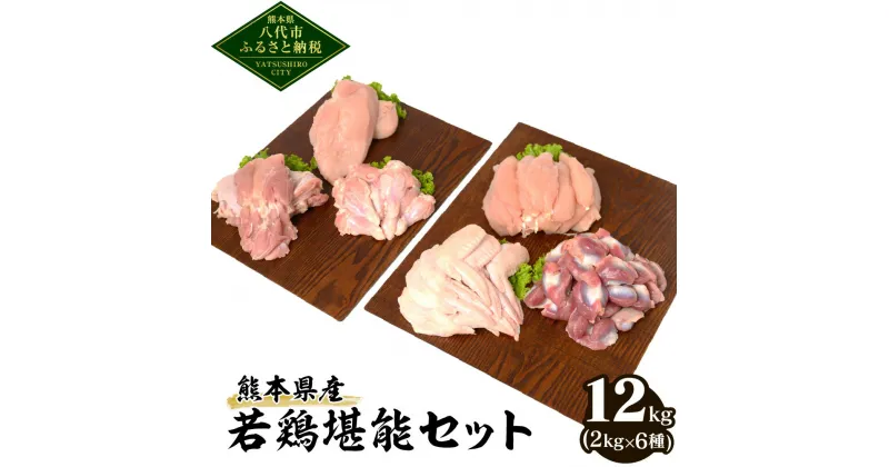 【ふるさと納税】 熊本県産 若鶏堪能セット 合計12kg 2kg×6種 若鶏 鶏肉 鳥肉 もも肉 むね肉 手羽先 ささみ ササミ 手羽元 砂肝 お肉 国産 九州産 冷凍 大容量 送料無料