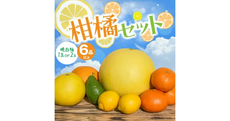 【ふるさと納税】 【先行予約】 【晩白柚の玉数が選べる】 柑橘セット 6品以上（晩白柚1～2玉入り） 柑橘 果物 フルーツ 熊本県産 ばんぺいゆ フルーツ 柑橘 特産品 名産品 お取り寄せ ジャンボサイズ 送料無料 【2024年12月上旬より順次発送】