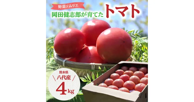 【ふるさと納税】【先行予約】【定期便3回】野菜ソムリエ 岡田健志郎が育てた トマト 4kg とまと 野菜 生野菜 旬 熊本県産 九州 送料無料 【2024年12月上旬より順次発送】