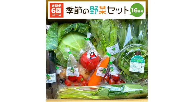 【ふるさと納税】【定期便6回】季節の野菜セット 16品目 毎月1回 計6回 ベジタブル 詰め合わせ 野菜定期便 新鮮 国産 九州産 熊本県産 送料無料