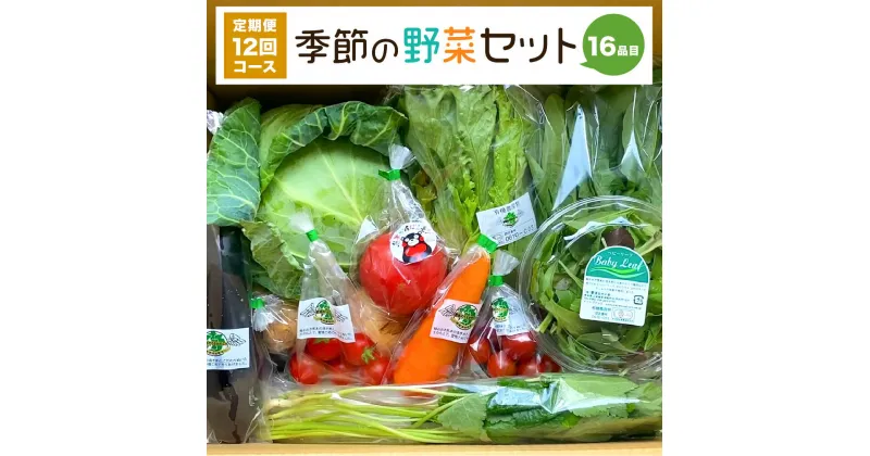 【ふるさと納税】【定期便12回】季節の野菜セット 16品目 毎月1回 計12回 ベジタブル 詰め合わせ 野菜定期便 新鮮 国産 九州産 熊本県産 送料無料